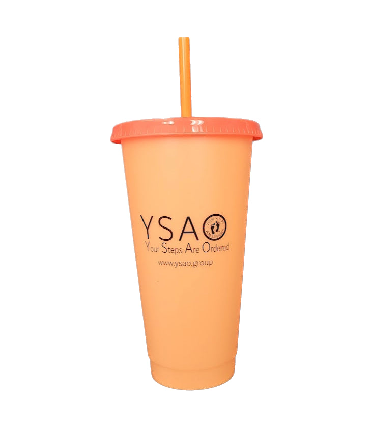 YSAO Chameleon Color Changing Tumbler